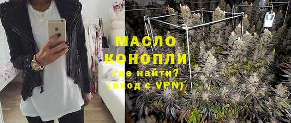 амф Вяземский
