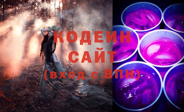 амф Вяземский