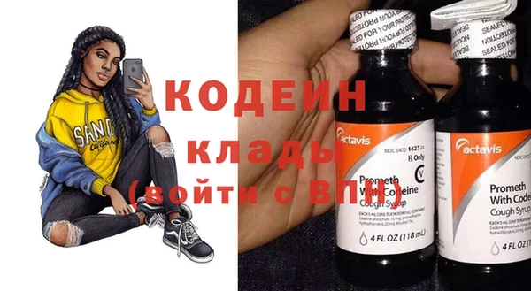 амф Вяземский