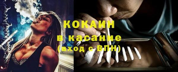 амф Вяземский