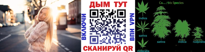 Купить где  Верея  Шишки марихуана Bruce Banner 